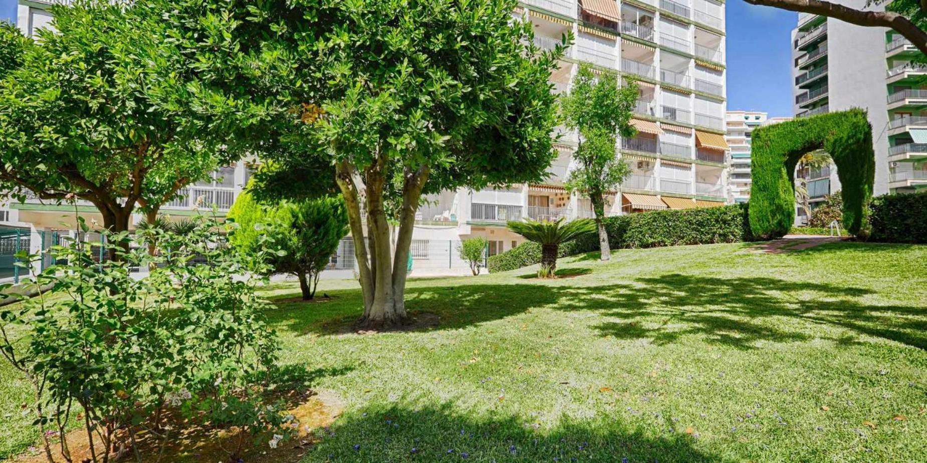 Apartamento Brasil Mar Playa de Gandia Exteriér fotografie